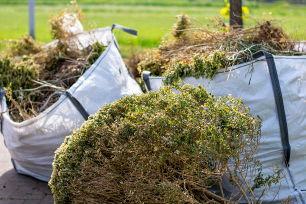 Best Dumpster Rental Services  in La Salle, CO